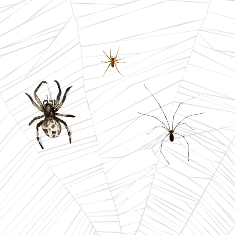 4dfecea798542c8d262970244a8e919d.jpg