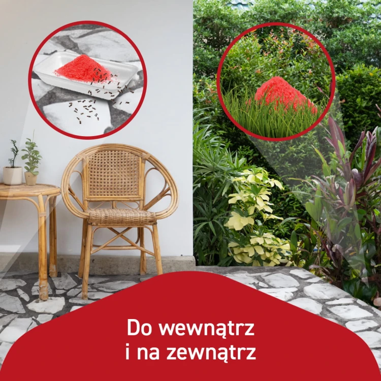 afe00cdc3376713dc93b2146f96a8729.jpg