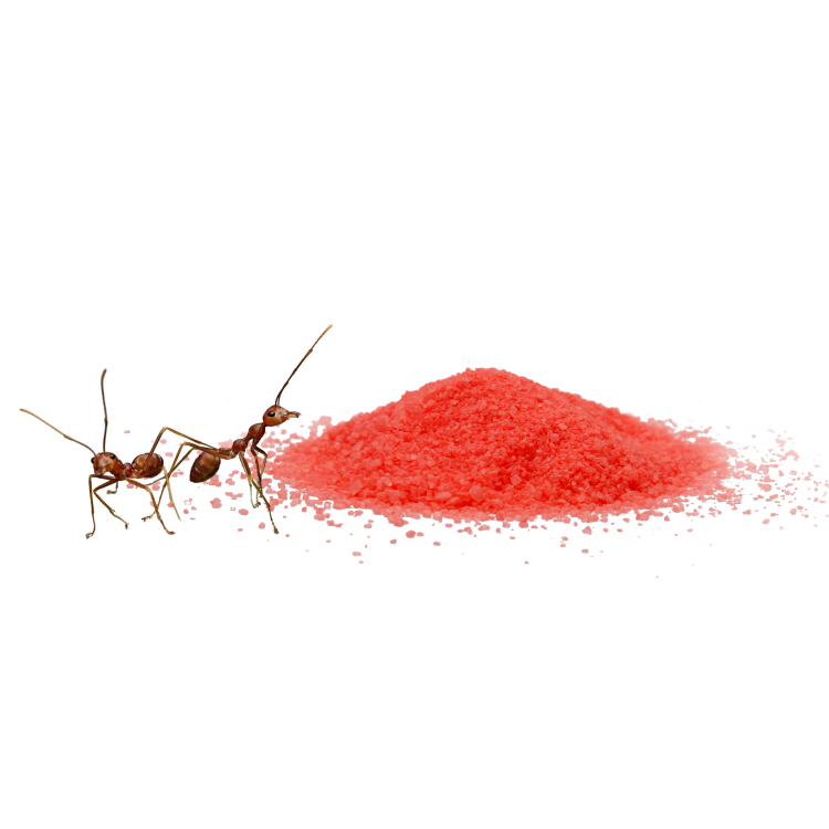 806371f099a9b29b2992c9fa97b3d3bb.png