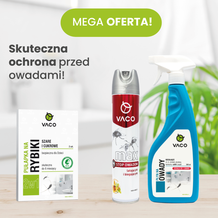 8f7cea1d0cf7aa43de8020e6f402ff1f.png