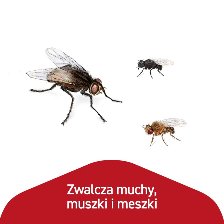 6819d9eeceaebec151aed2d24e93b70c.jpg